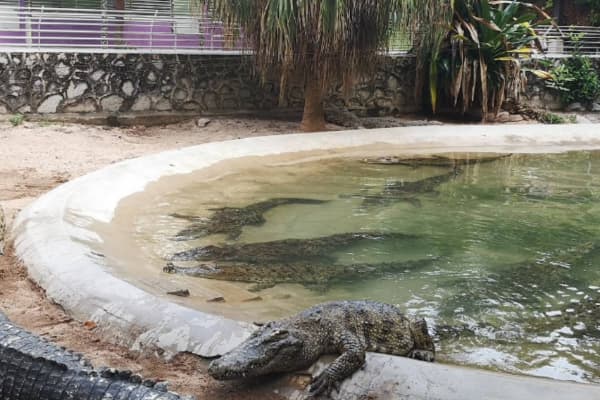 melaka crocodile and recreation park